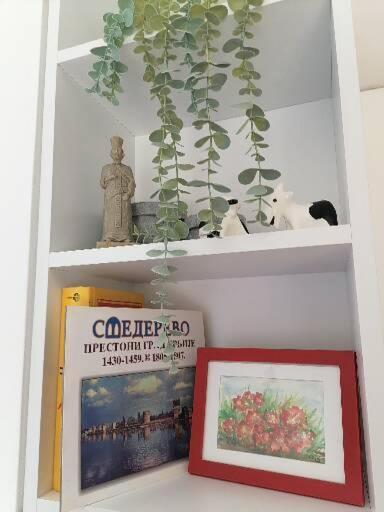 Anka Apartman Smederevo Bagian luar foto