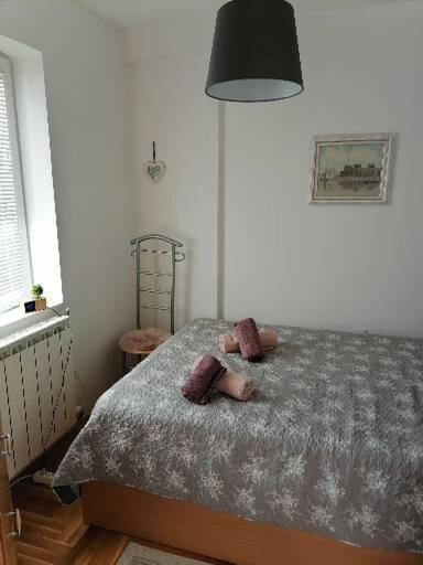 Anka Apartman Smederevo Bagian luar foto