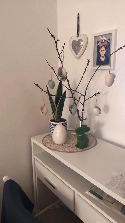 Anka Apartman Smederevo Bagian luar foto