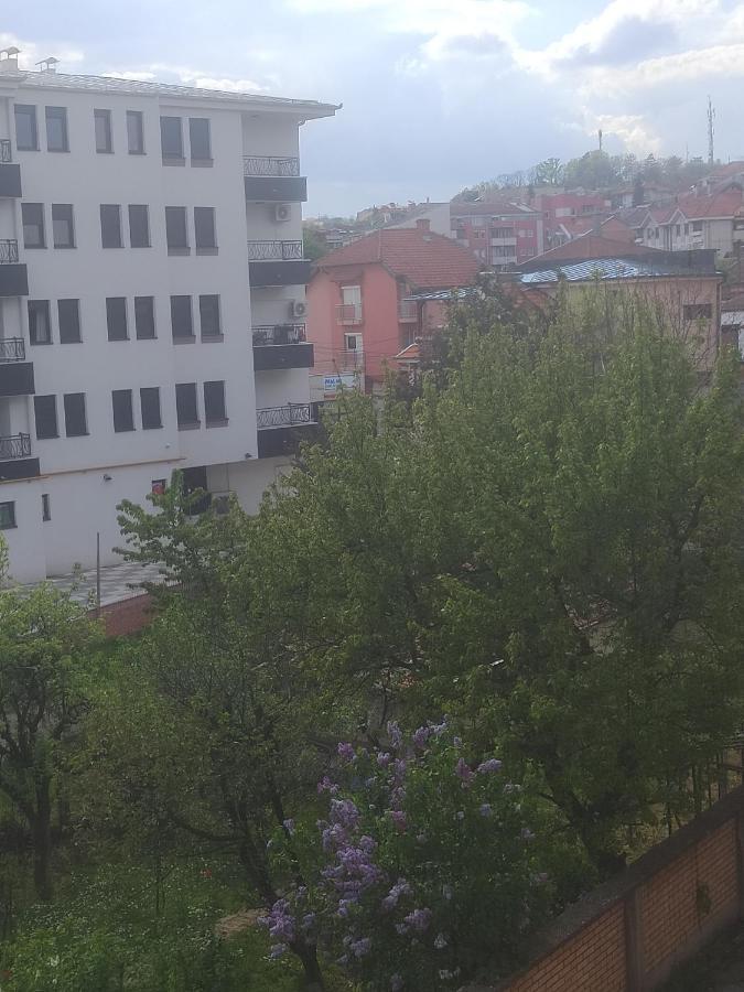 Anka Apartman Smederevo Bagian luar foto
